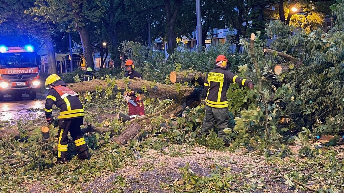 Feuerwehrleute arbeiten an der Beseitigung eines umgestürzten Baumes nach einem Sturm. (Symbolbild)