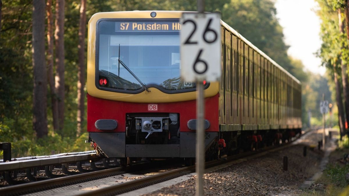 Bahnstrecke Berlin-Potsdam: Baum auf Gleisen, Weichenstörung