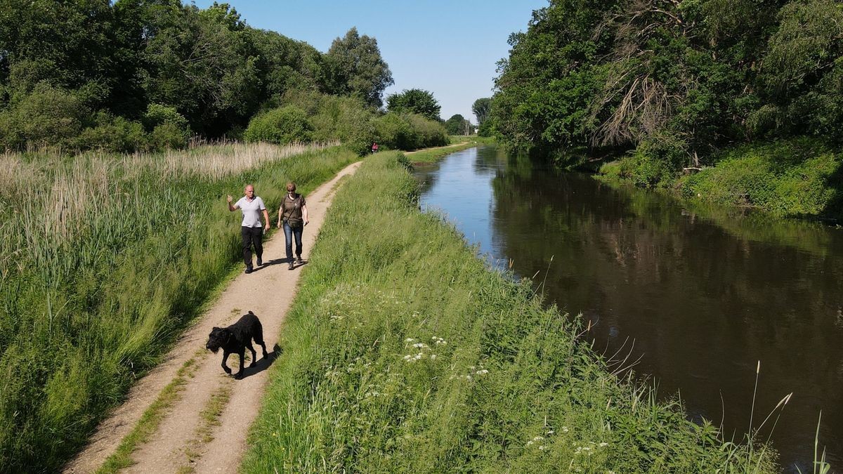 Die Niers bei Kessel.