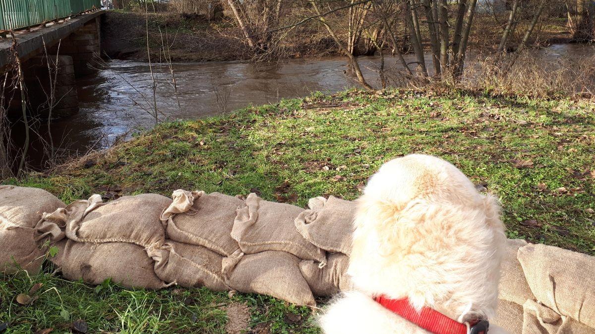 An der Zorge entlang der Bundesstraße 4 sind in einem Nordhäuser Stadtteil als Schutz vor dem Weihnachtshochwasser 2023 Sandsäcke gestapelt worden. Diese liegen noch immer dort, obwohl sich die Lage längst entspannt hat.