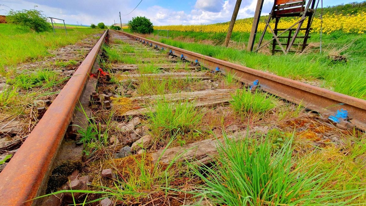 Blick von Wendelstein in Richtung Roßleben auf die Infrastruktur der Unstrutbahn. Der Verein „IG Unstrutbahn“ hat schon etliche ehrenamtliche Stunden geleistet und wird noch arbeiten, um unter anderem Holzschwellen auszutauschen. (Archiv)