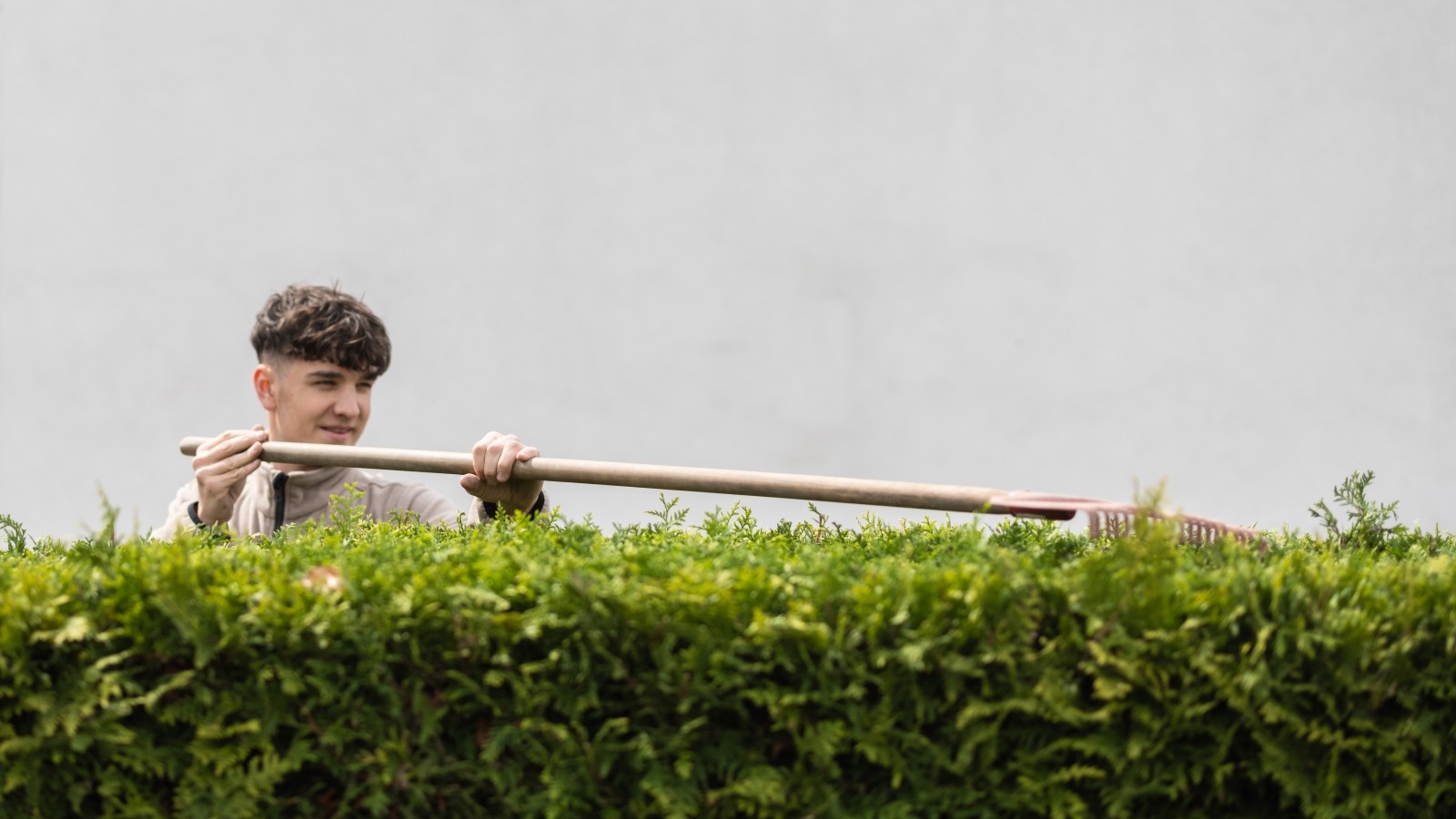 TVExperte Davit Arican gibt Tipps für naturnahen Garten