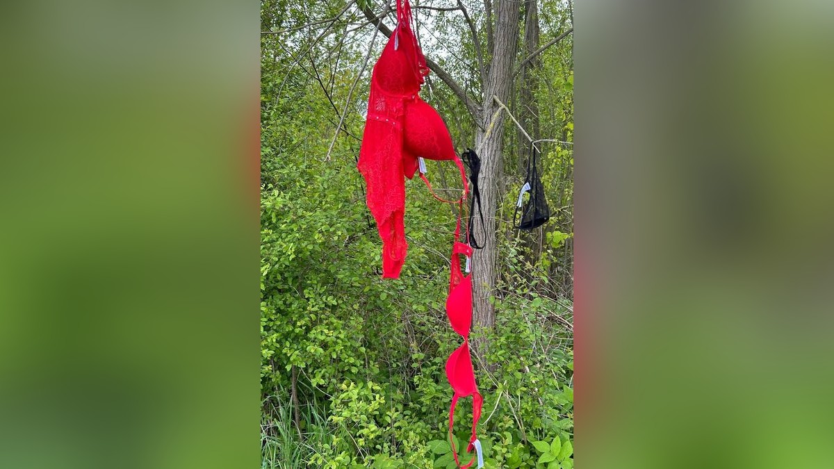 In einem Gebüsch zwischen Ferna und Tastungen hängten Unbekannte Damenunterwäsche auf.