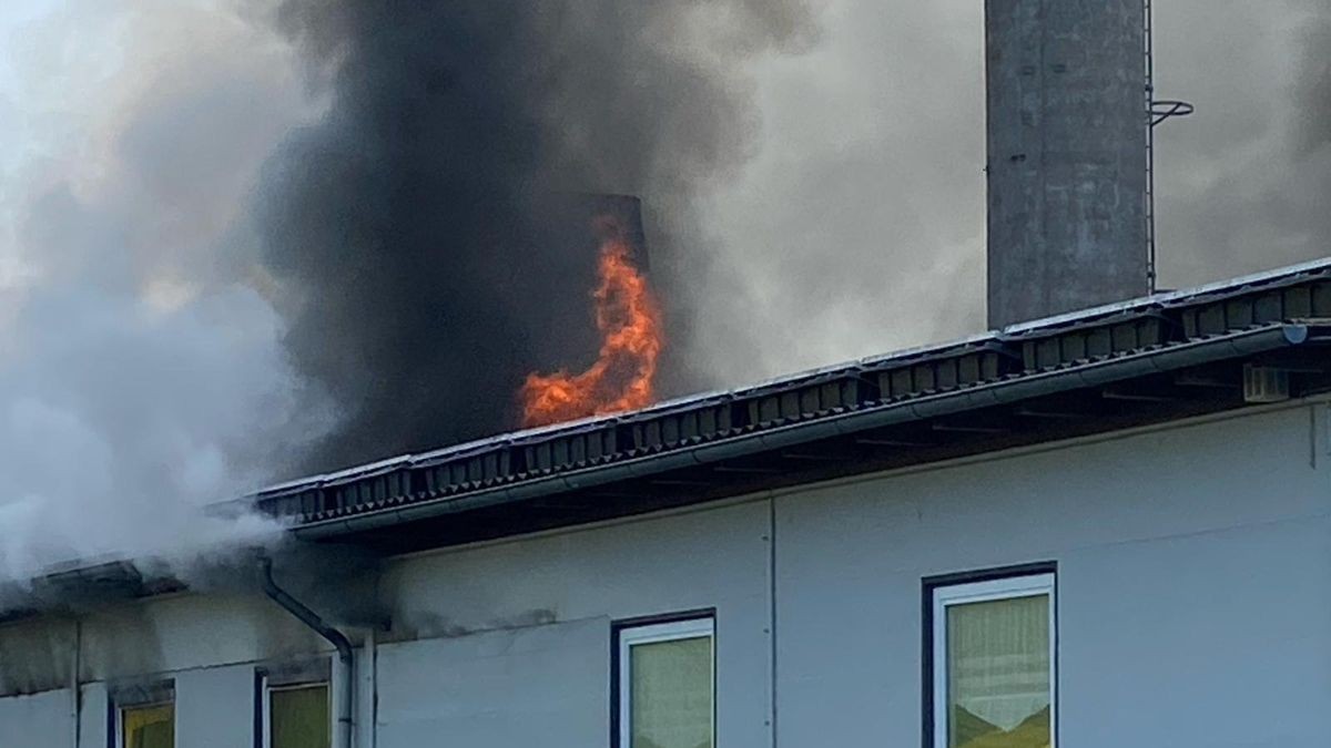 Die Flammen zündeten durch, schlugen aus Dach und Fenstern des Firmengebäudes.