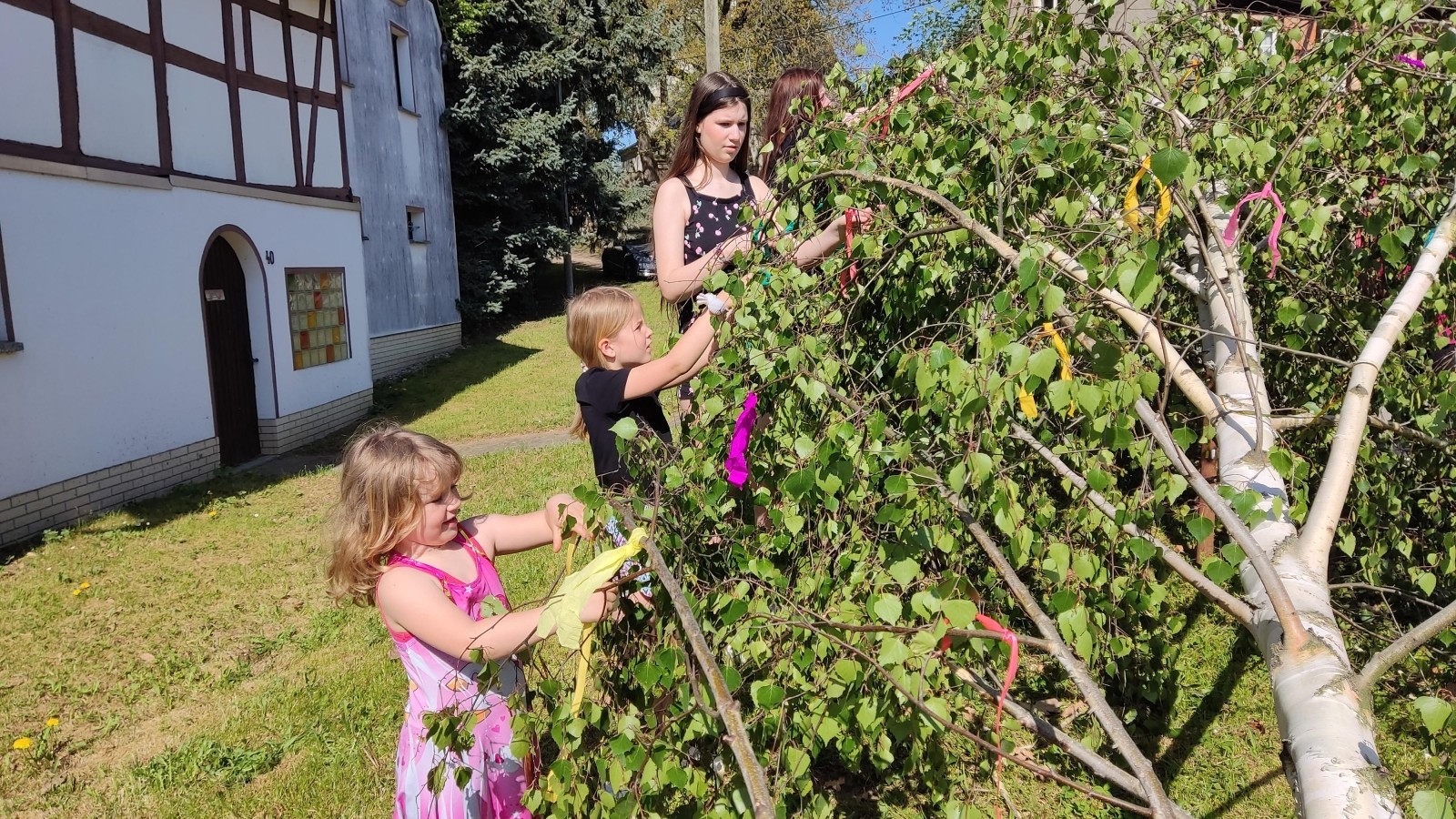Maibaumstellen im Altenburger Land Kinderhände machen Fest zum Erfolg
