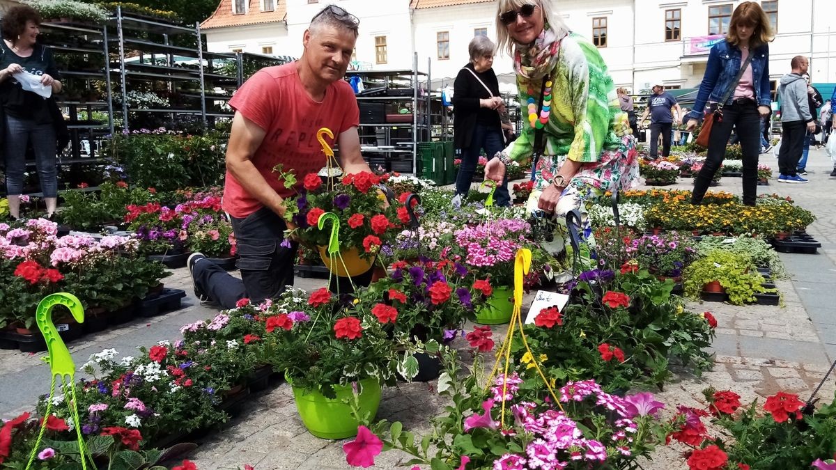 Marktmeisterin Heidi Schinköth- Heise (vorne rechts) auf Abschiedstour. es wird wohl ihr letzter Frühlingspflanzenmarkt sein. Einer ihrer Lieblingshändler war Maik Müller. Seit 1992 hält der Gärtner aus Kölleda mit seinem Sortiment dem Markttreiben in Sondershausen die Treue.