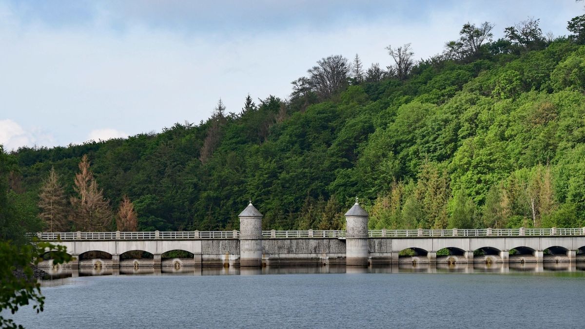 Die Talsperre Neustadt wollten die beiden Niedersachsen eigentlich fotografisch in Szene setzen.