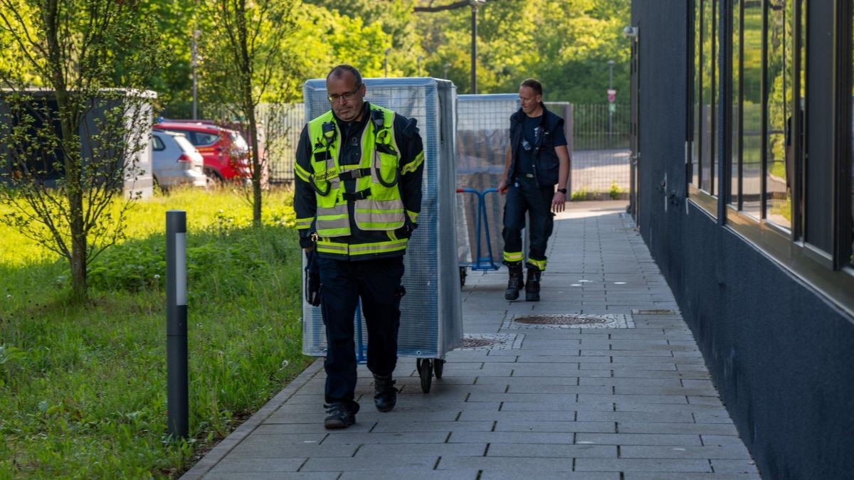 Die Exponate aus den nassen Vitrinen werden in andere Flächen umgeladen.