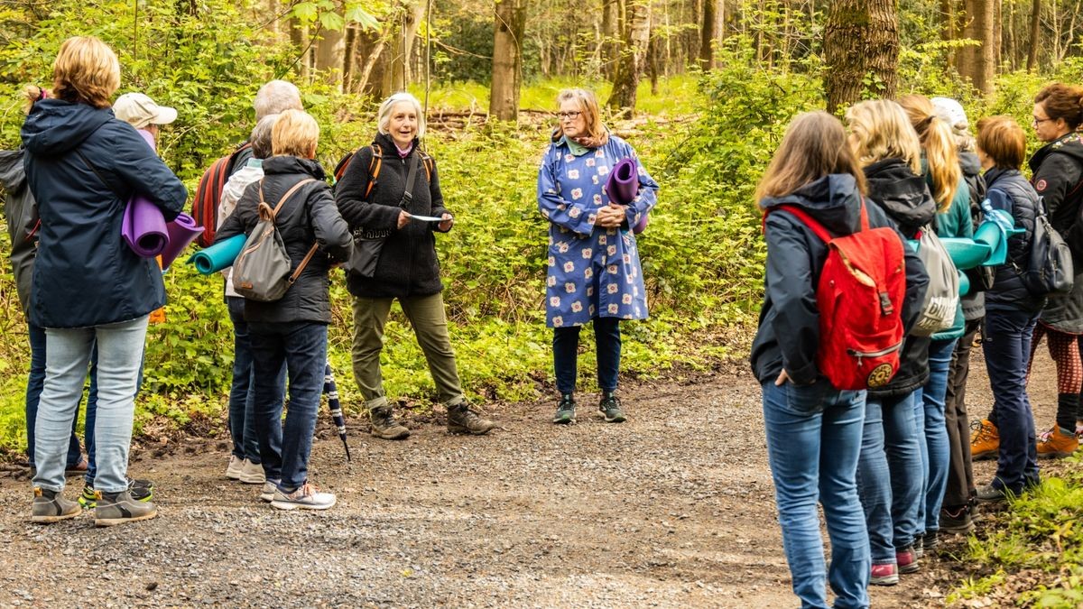 12 Interessierte nahmen am Waldbaden, organisiert vom Kneippverein Dinslaken, teil.