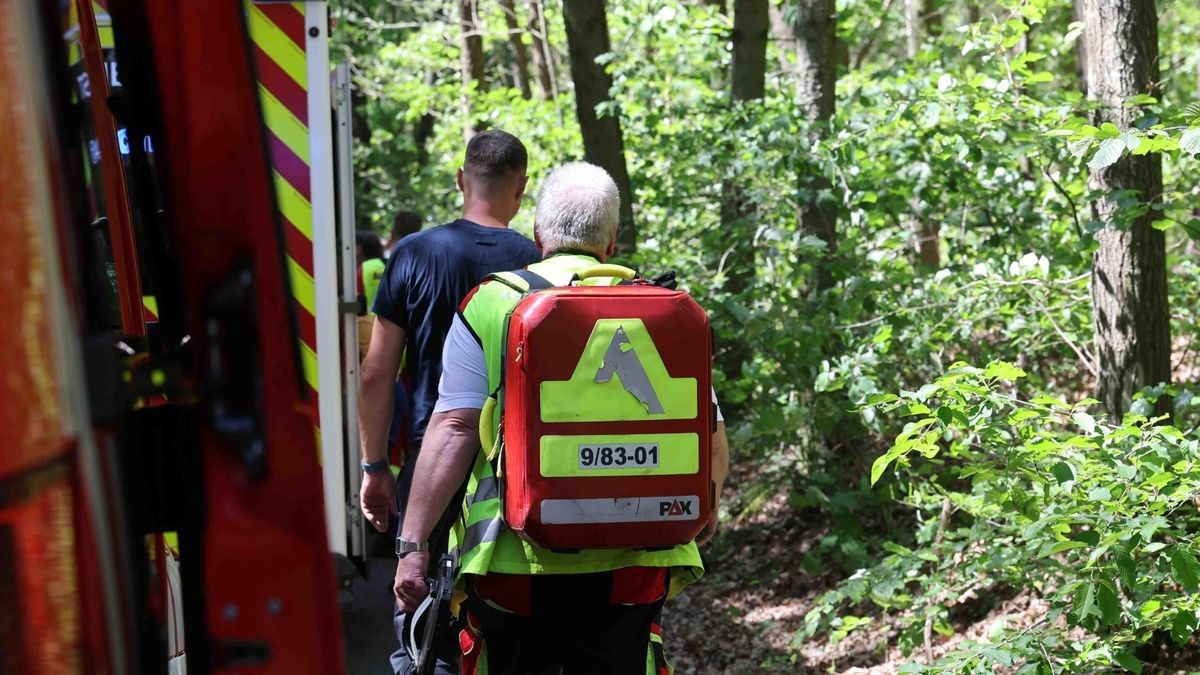 Bei dem Unfall wurden vier Kinder und sechs Erwachsene verletzt und zur Versorgung ins Krankenhaus gebracht.