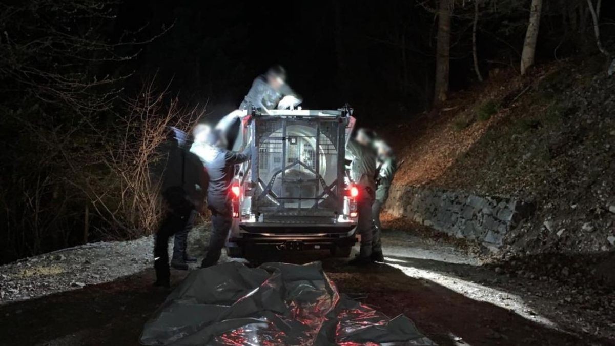 Italien, Val Meledrio: Mitarbeiter des Trentiner Forstkorps bereiten den Transport der Bärin JJ4 vor. (Archivbild)