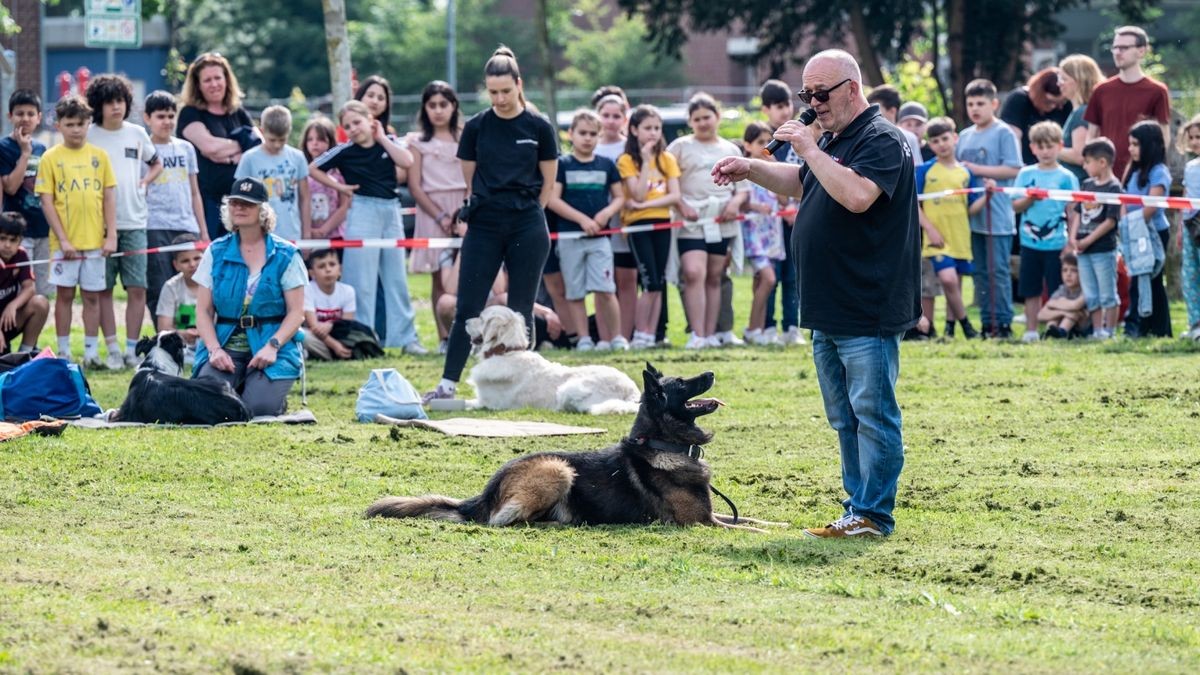 Trainer Senad Alic, Leiter der Hundeschule Senco Dogs,  zeigt mit seinem Hund Gary, wie man Hunden beibringen kann, bestimmte Kommandos zu befolgen.