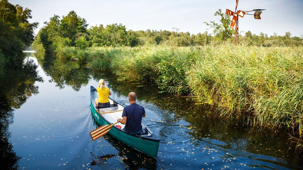 Im Nationalpark Weerribben-Wieden lohnt sich eine Kanu- oder Kajakfahrt.