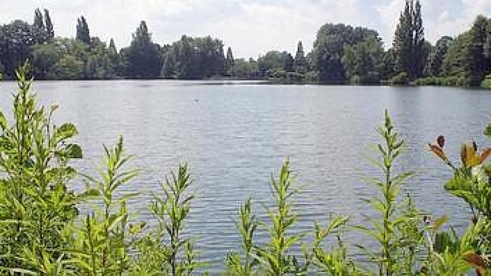 Noch alles klar in Bach und Teich