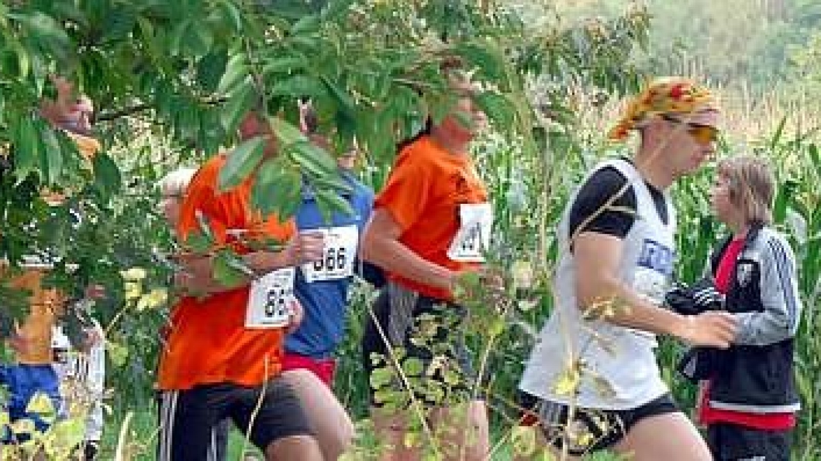 In 10 Wochen zum Halbmarathon