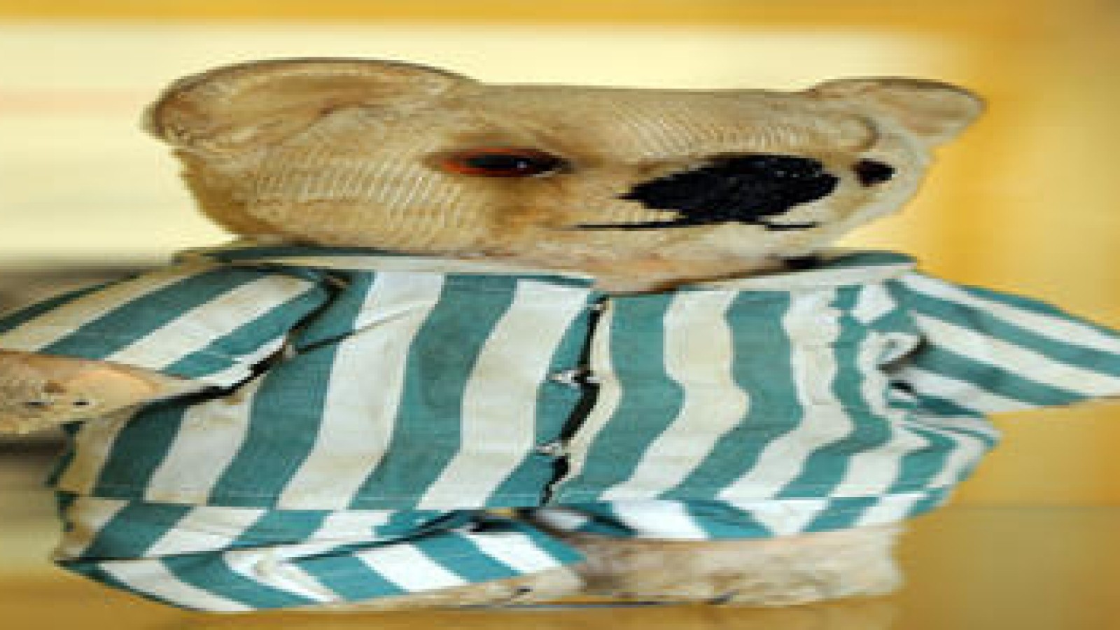 Mein einziger Freund