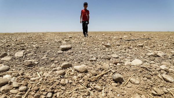 Klimakatastrophe – SPD-Ministerin hofft auf Trump-Effekt