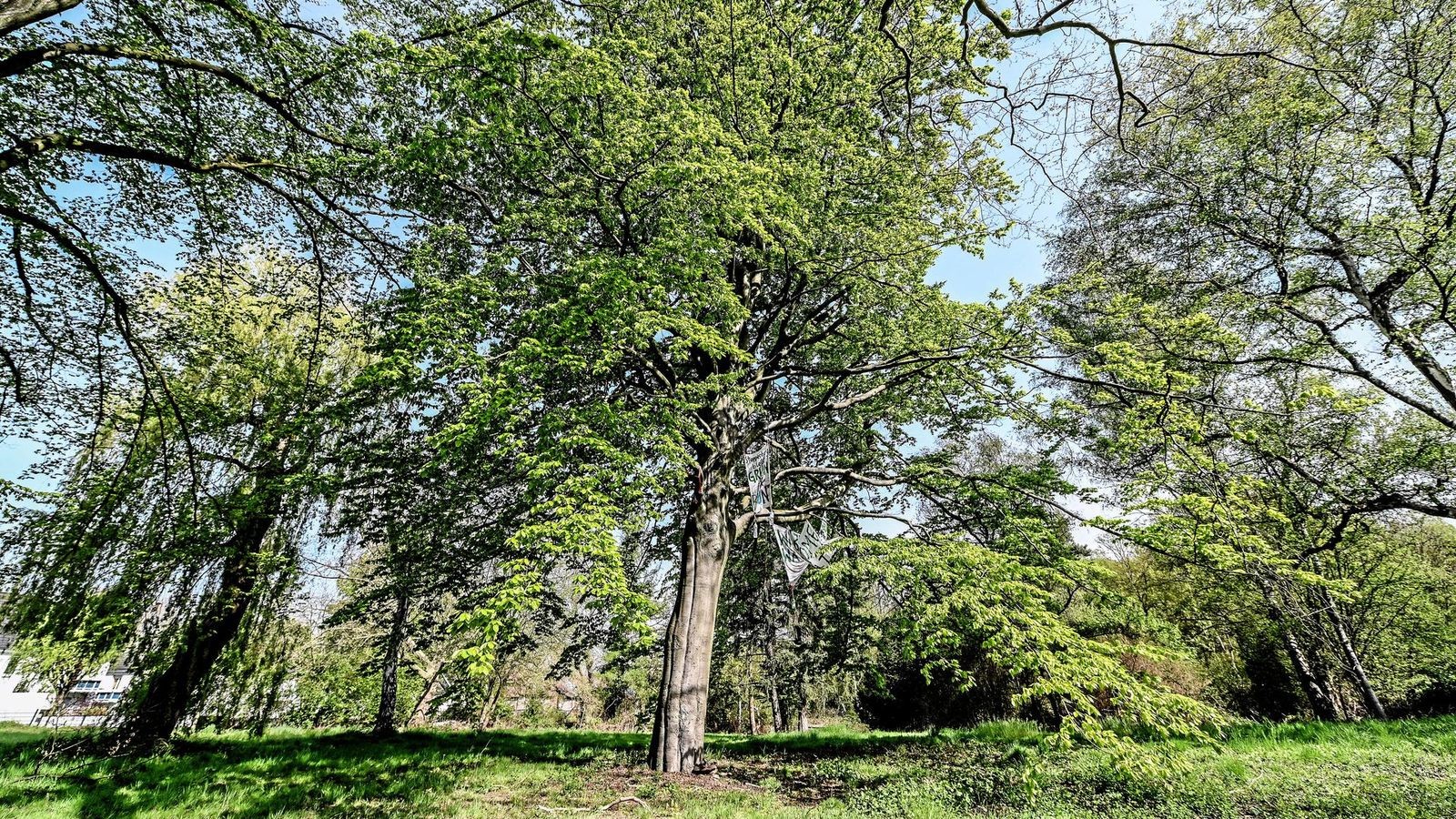 Essen Pläne für Stoppenberger Wohnquartier werden ausgelegt