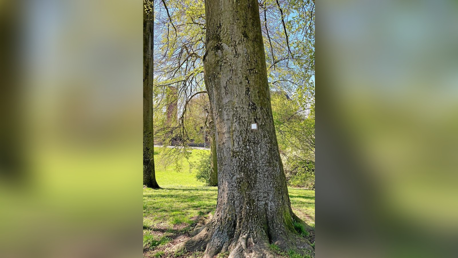Zollvereinsteig Essen Darum sind manche Markierungen weiß