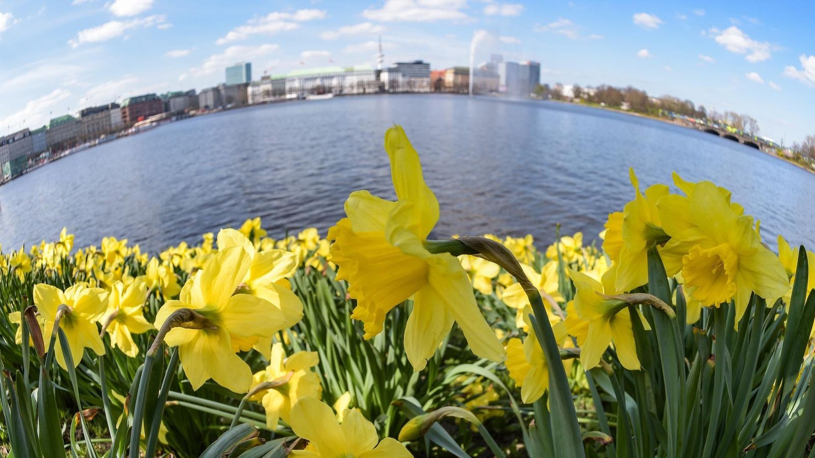 Wetter Bald 20 Grad in Hamburg! Kommt der Osterhase in kurzer Hose?