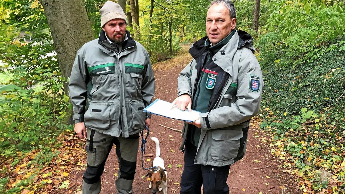 WichmannPromenade in Eisenach wird saniert