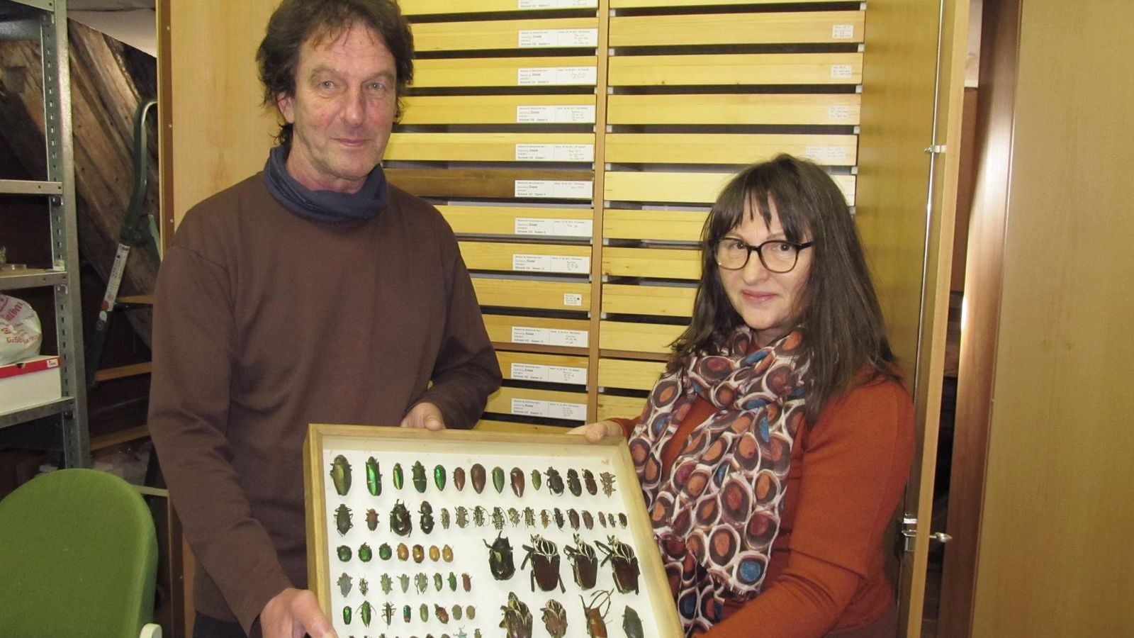 12 Stück Insekten In Harz - Echte Schmetterlinge & Käfer, Briefbeschwerer, Spielzeug & Deko