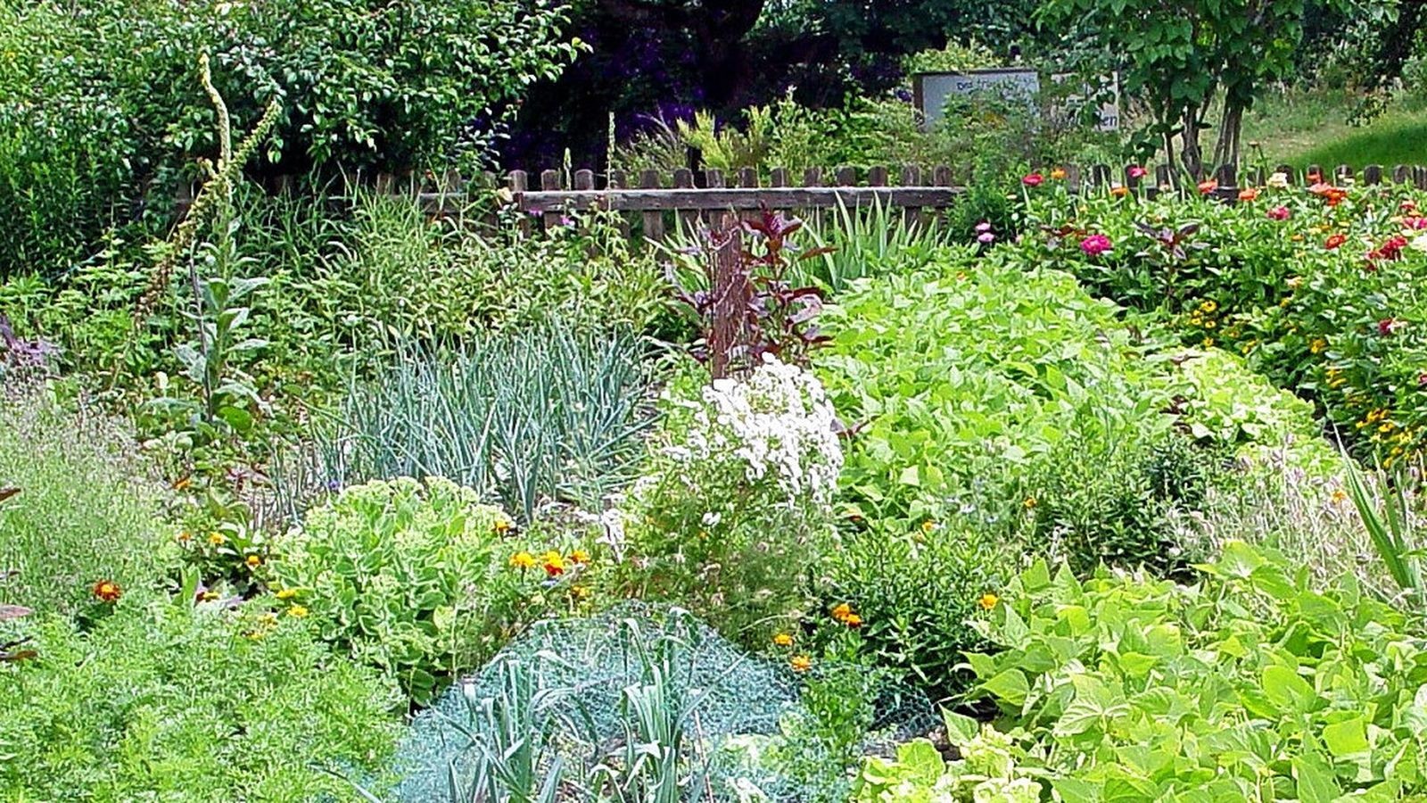 Garten Kramer aus Olpe Ein Hochbeet macht jedem Spaß