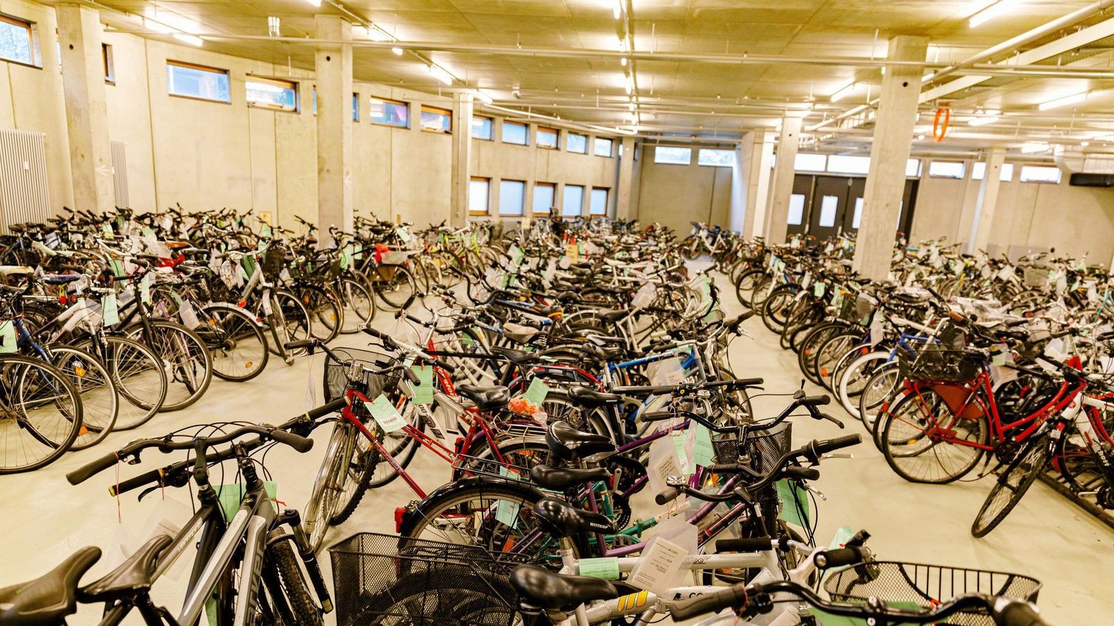 Grabplatten und Gebisse Was Hamburger so alles verlieren