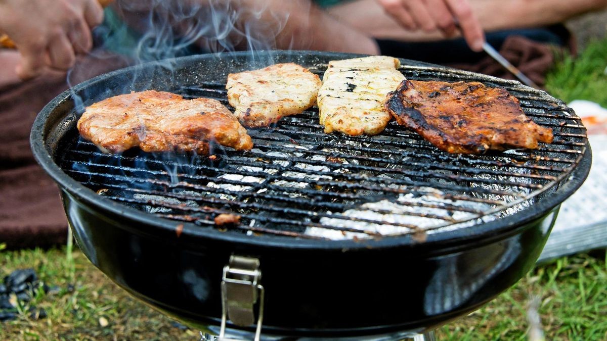 Grillen mit dem eigenen Grill ist in Wolfsburg rund um den Allersee möglich. Im restlichen Stadtgebiet stehen zwei Grillplätze zur Verfügung. (Symbolbild)