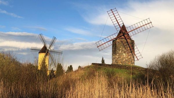 Stadt mauert zu Mühlenmuseum – Gifhorns Grünen platzt der Kragen