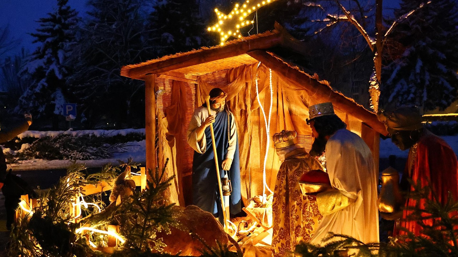 Deutscher-Meister-pr-sentiert-im-Eichsfeld-florale-Kunstwerke