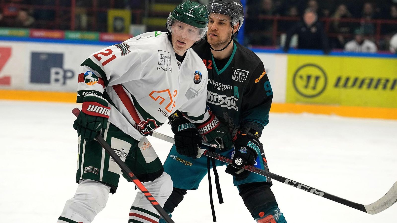 Eishockey-in-Essen-Ex-Herner-verst-rkt-Eagles-in-der-Regionalliga