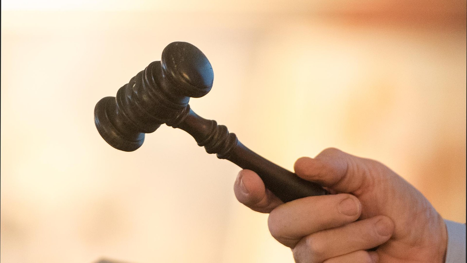 Schn-ppchenjagd-im-Harz-Hier-k-nnen-Sparf-chse-in-Herzberg-Fundsachen-ersteigern