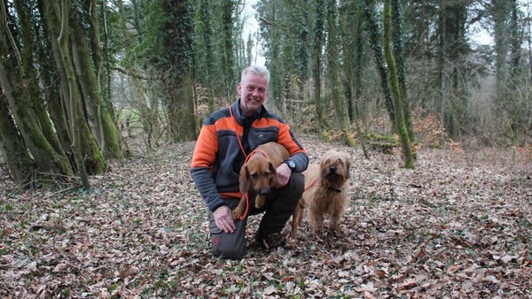 Wölfe bei Hamburg: Worin Experten aktuell das größte Problem sehen