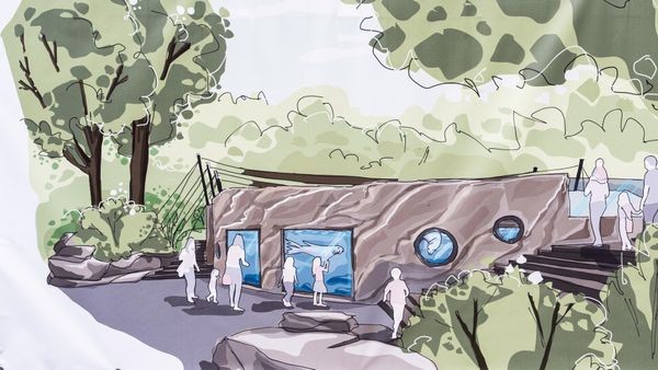 Zoo Duisburg plant Millionen-Projekt: Marode Tierwelt verschwindet