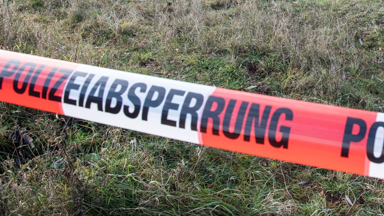 Verdacht auf Verstoß gegen Tierschutzgesetz Toter Hund im