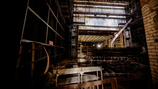 Tschernobyl-Pilz „frisst“ Strahlung – und könnte Astronauten schützen