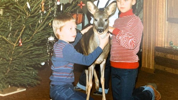 Ein Rehkitz unterm Weihnachtsbaum: Jägerfamilie aus Hörden zieht Niki auf