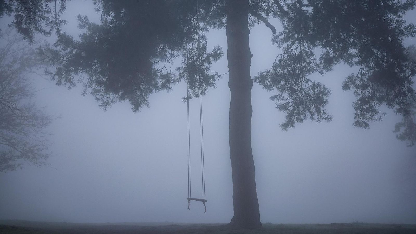 Giftige-Umwelt-und-drei-nackte-Hexen-Zwei-unheimliche-Graphic-Novels-f-r-die-dunkle-Jahreszeit