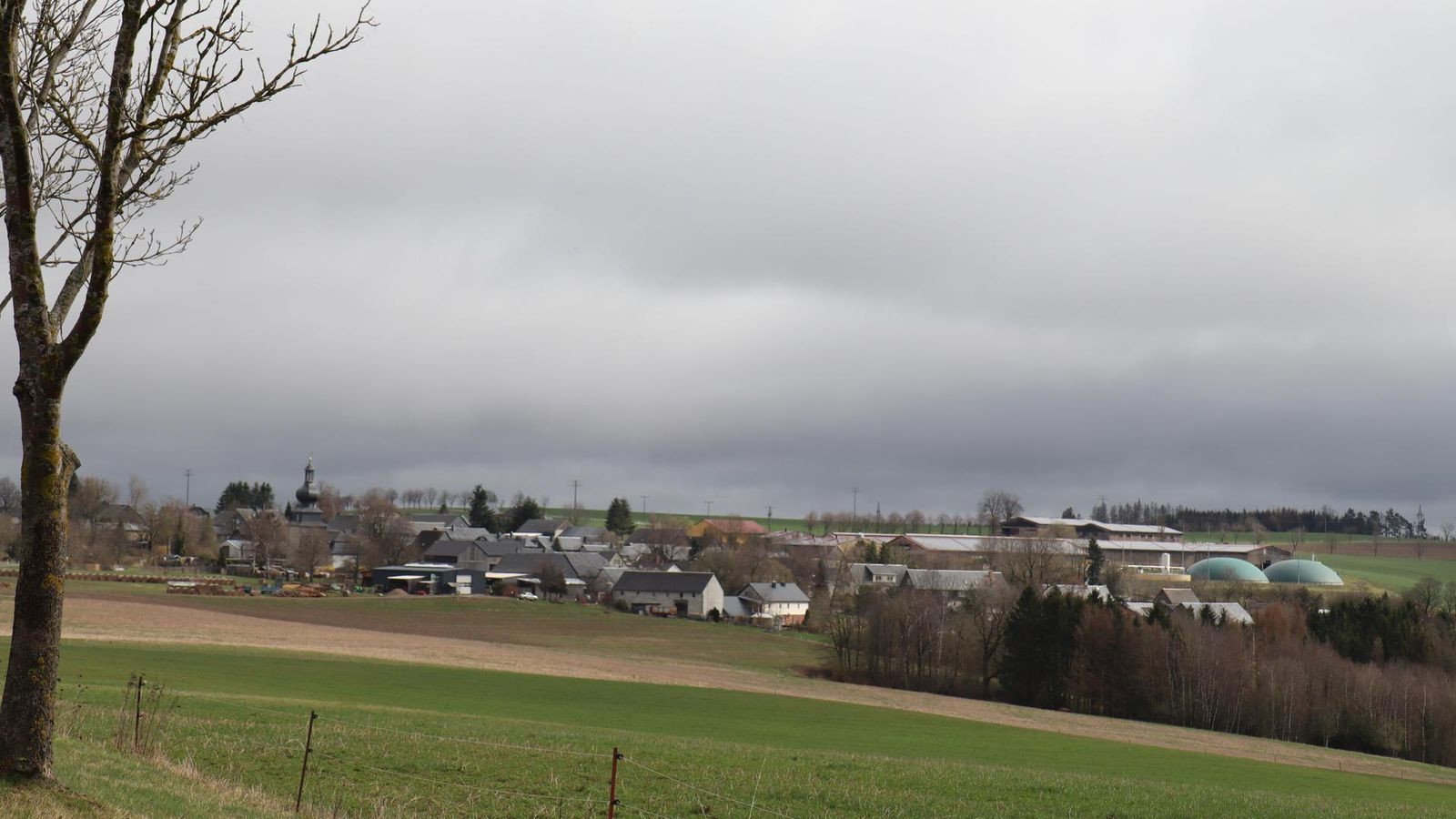 Gibt-es-neue-Gebietsstrukturen-im-S-den-des-Landkreises-Saalfeld-Rudolstadt-