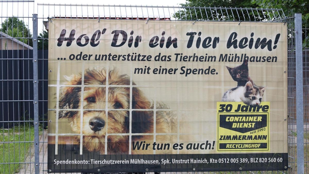 Unstrut-Hainich-Kreis: In Mühlhausen werden im Tierheim dringend Helfer ...