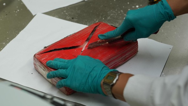 Die Woche in Wolfsburg: Riesiger Drogenfund, neuer Chefarzt und Haushaltsloch