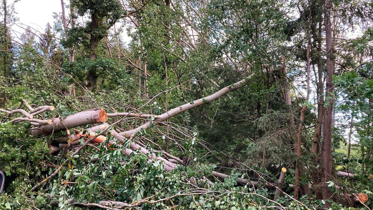 Sturm isoliert Dreba Schäden und Stromausfall im SaaleOrlaKreis