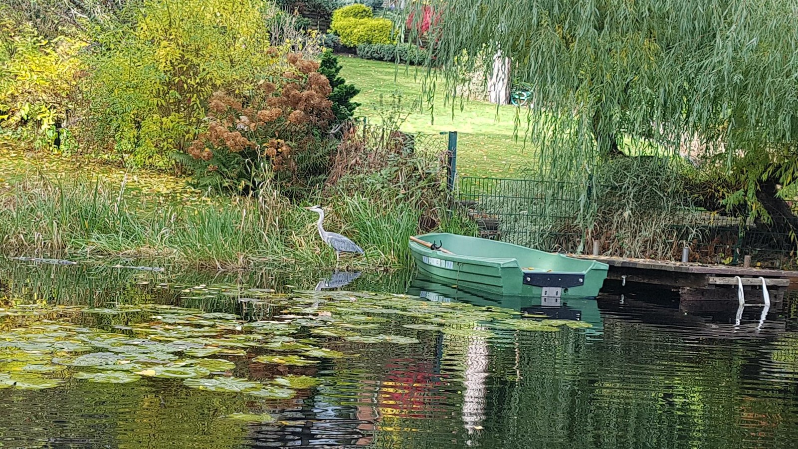 Waldsee-Zehlendorf-Wie-das-verdreckte-Gew-sser-jetzt-gerettet-wird