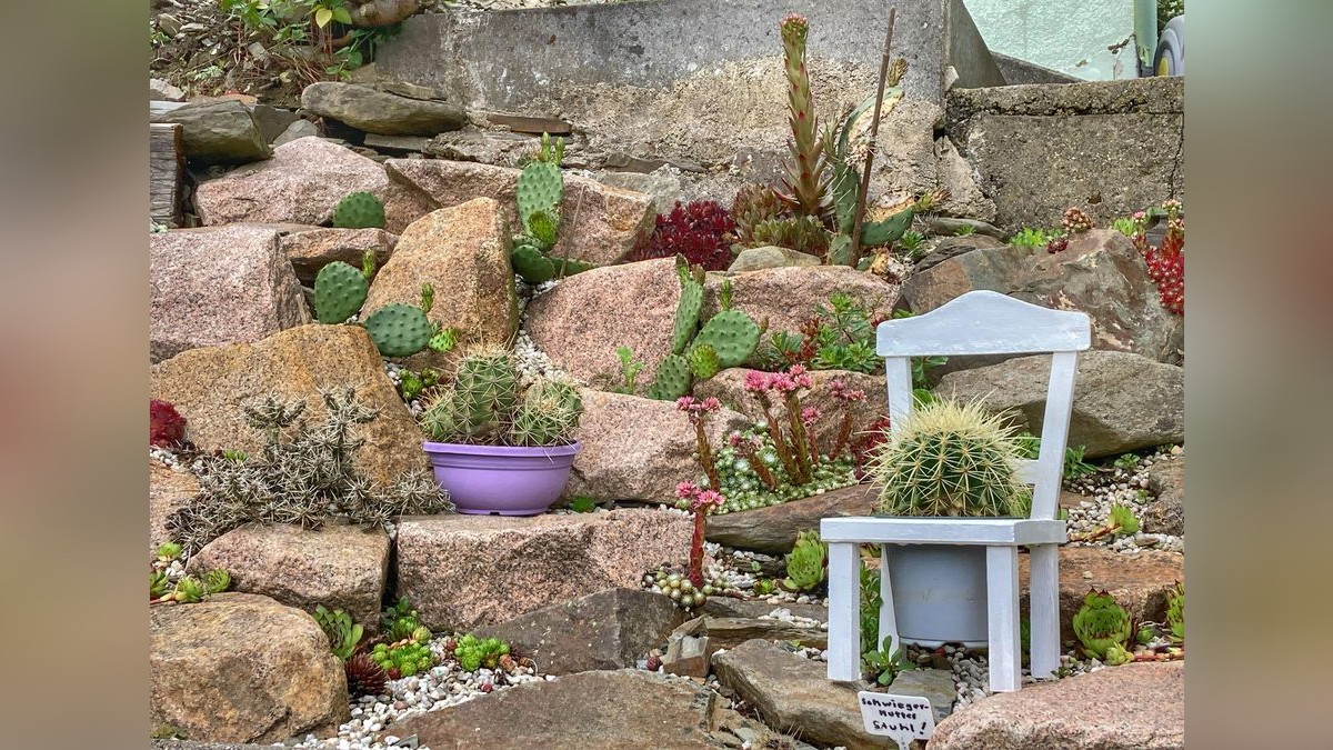 Ein zauberhaftes Leben zwischen Bonsai und Kakteen