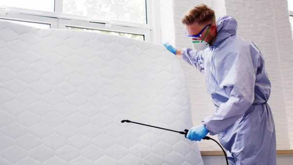 Nach Todesfällen: Kann das Istanbul-Drama auch in Hamburg passieren?