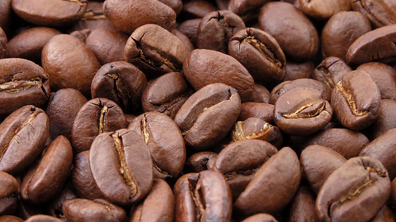 Kaffee-Dieb-42-kracht-bei-wilder-Flucht-in-geparktes-Auto