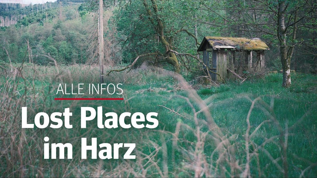 Lost Places im Harz Mysteriöse Geschichten aus dem Harz