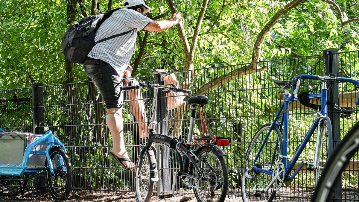 Berlin Diese böse Überraschung erlebten Nacktbader am Plötzensee