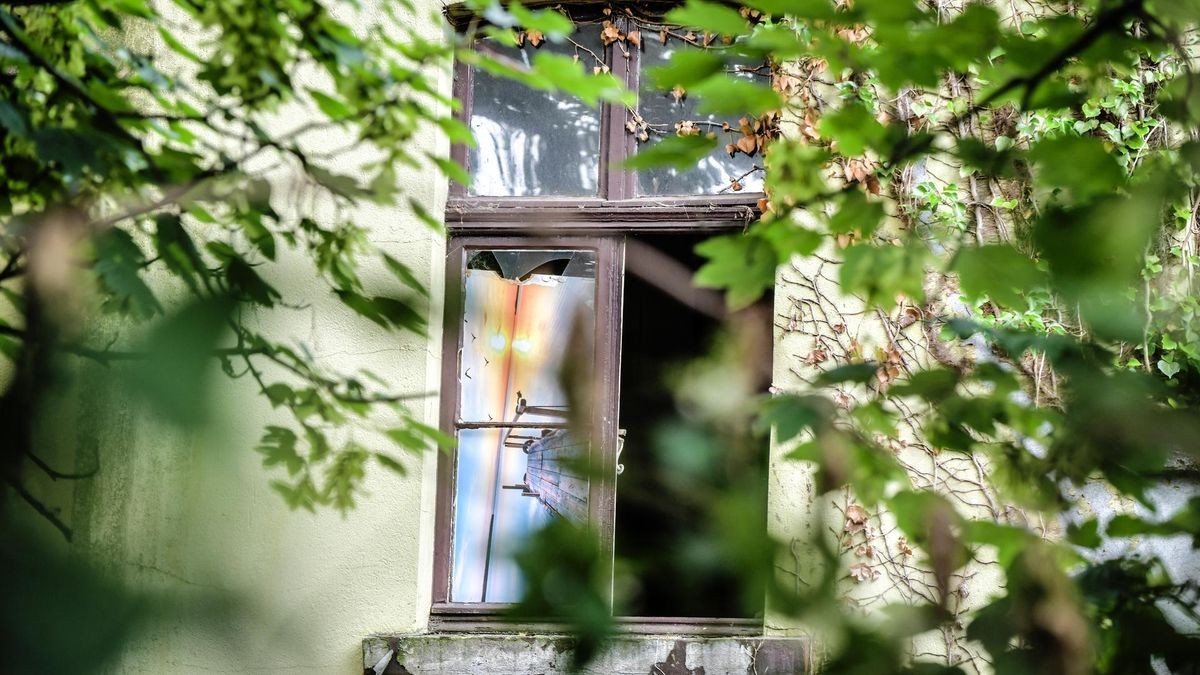 Eva menta onlyfans pics not extensively described